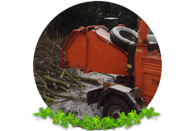 Branch Chipping